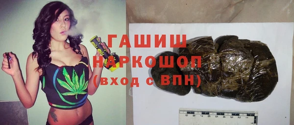 индика Ростов