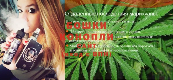 соль ск Рославль