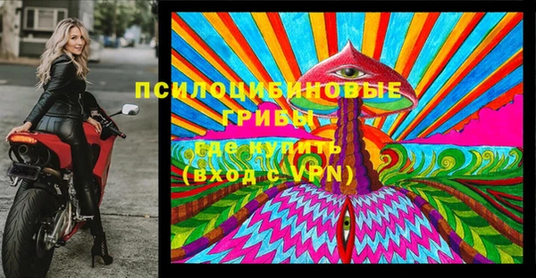 индика Ростов