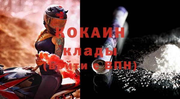 индика Ростов