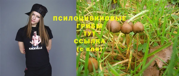 индика Ростов