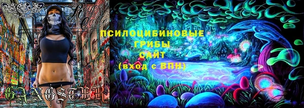 индика Ростов